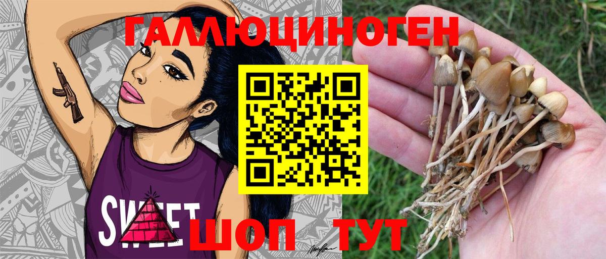 Надым  Псилоцибиновые грибы Magic Shrooms  Вход с VPN 